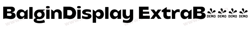 BalginDisplay ExtraB字体转换